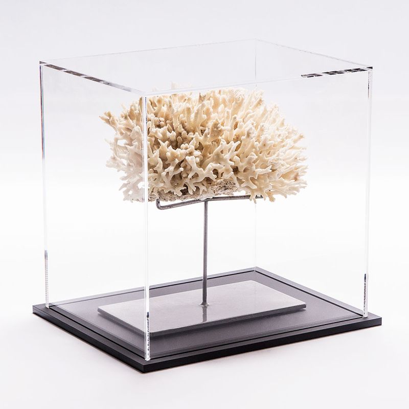 Vitrinas a medida A medida